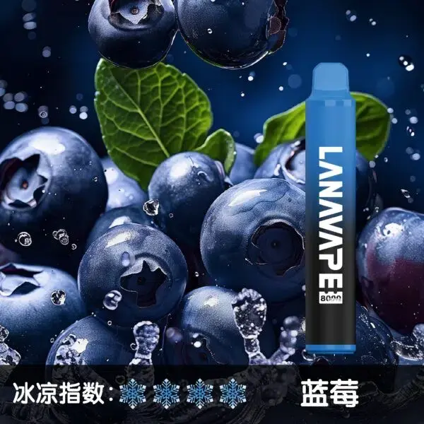LANA8000口藍莓-600x600.jpg.webp - BA Vape 台灣電子菸專賣|主機、煙彈、一次性電子煙