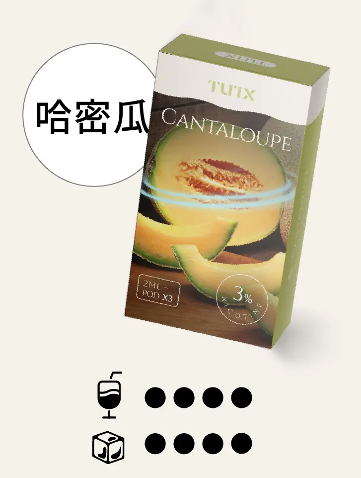 哈密瓜.png.webp - BA Vape 台灣電子菸專賣|主機、煙彈、一次性電子煙
